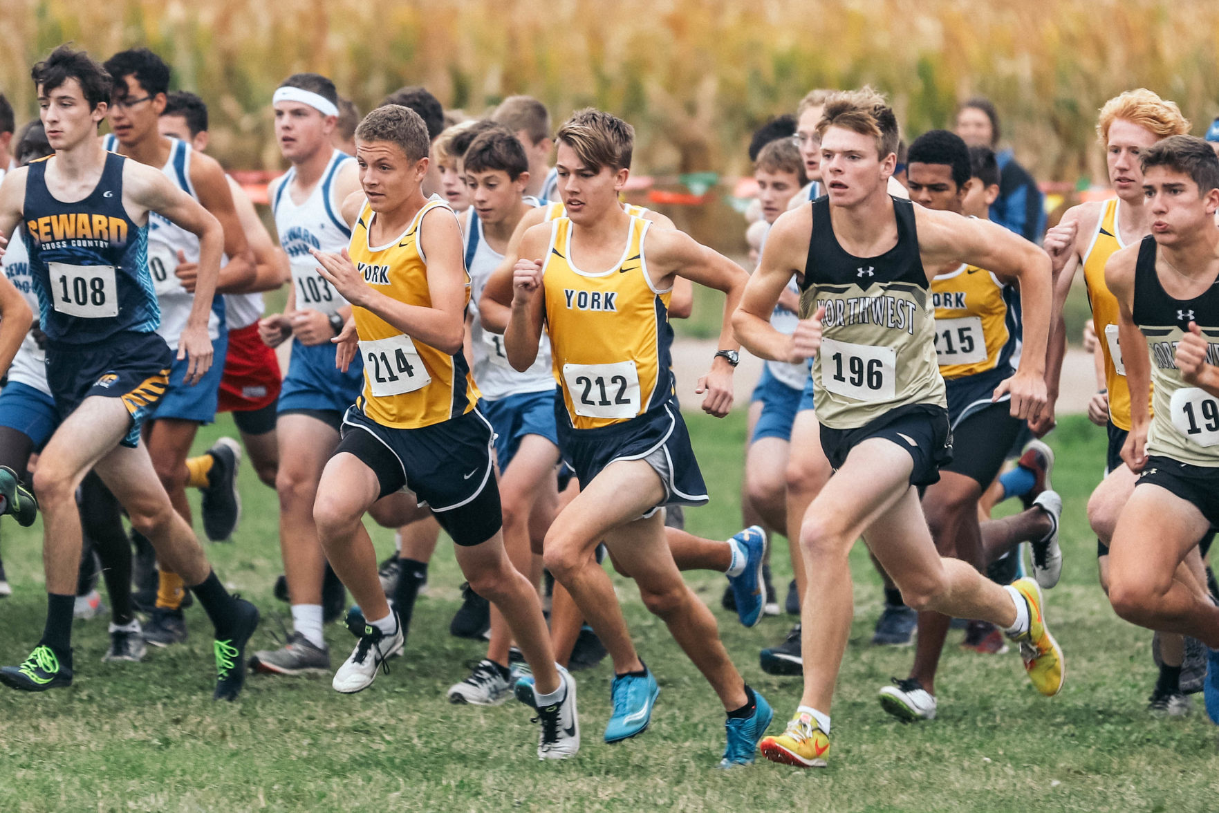 York Central Conference XC (16).jpg